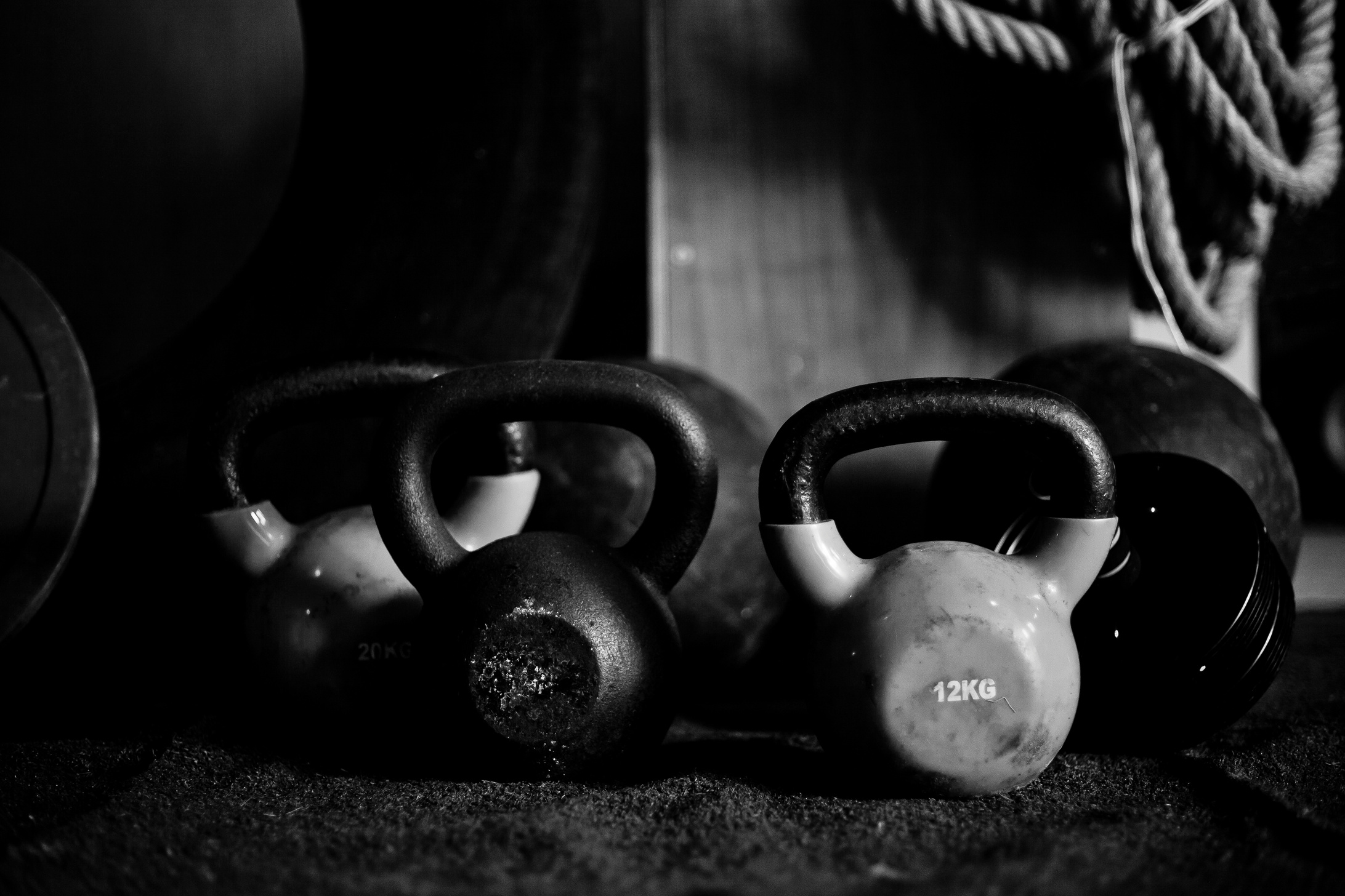 gym Equipment I